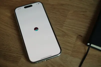 카지노 베가스 위너 모바일 앱